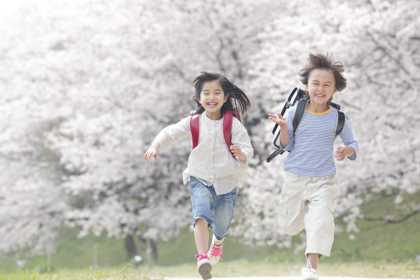 桜のなかを走る小学生